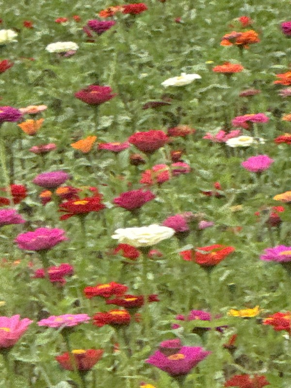 eef127ea1b74fc9e4d814c60710d5d8e_1784534358_312.jpg