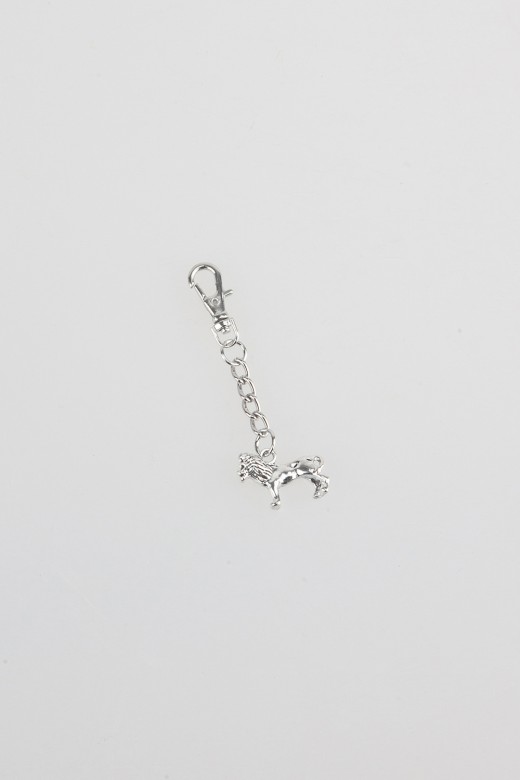 charm- lion