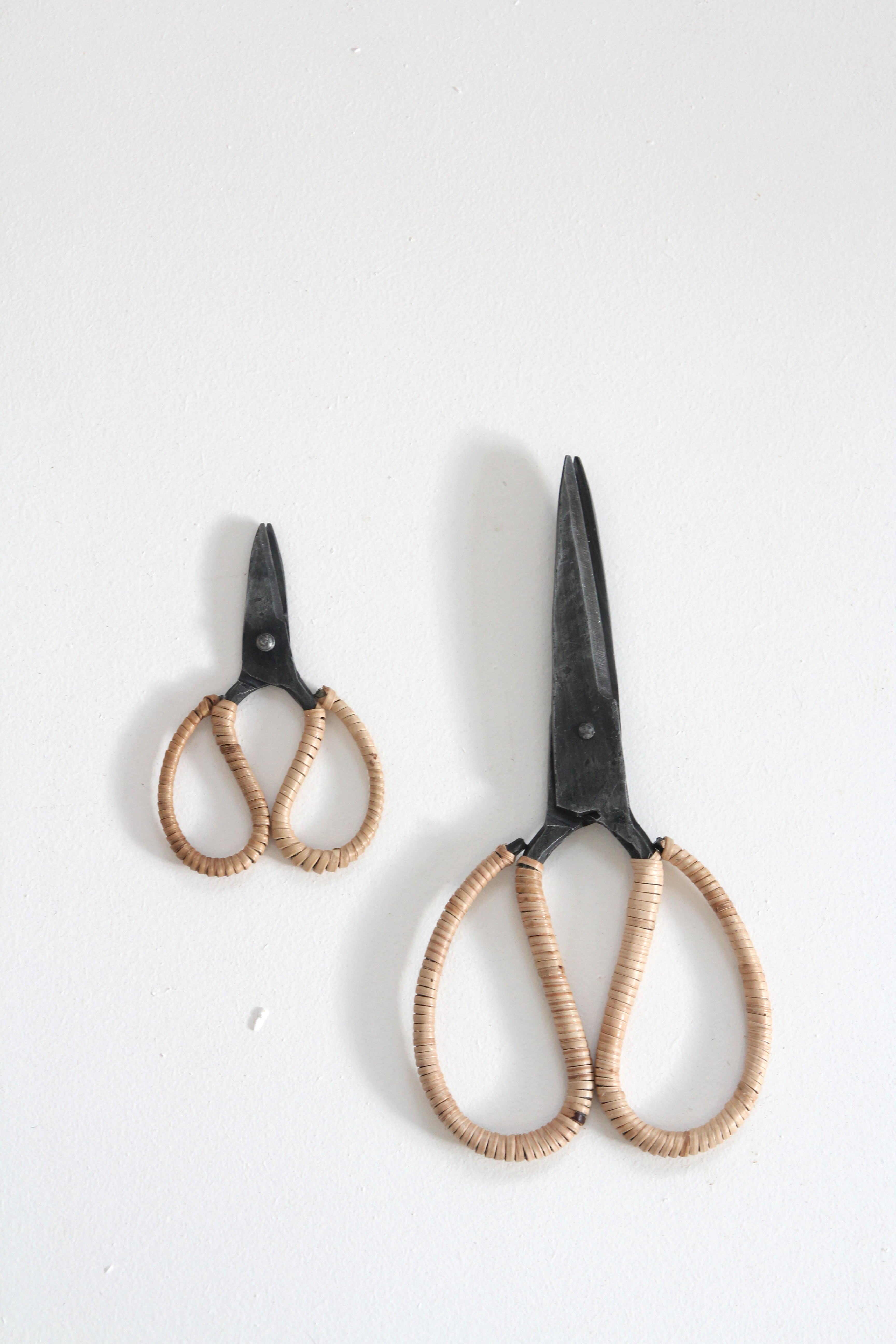 craft scissor - big