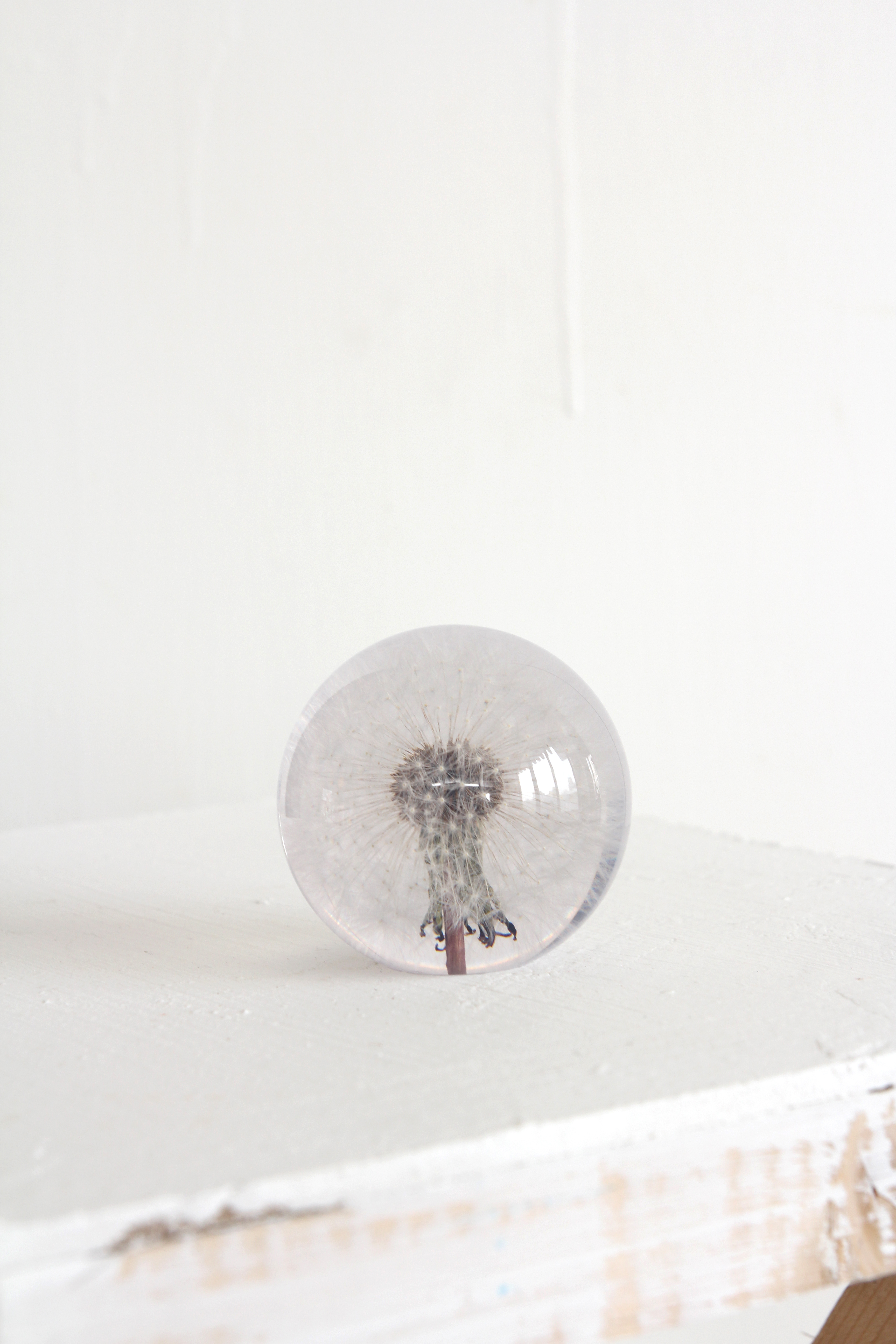 paper weight - dandelion - small