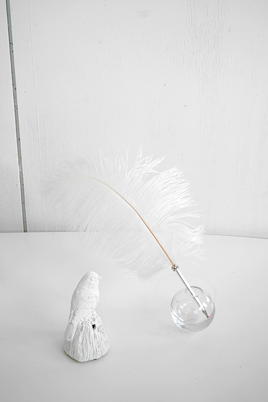 ostrich feather pen 