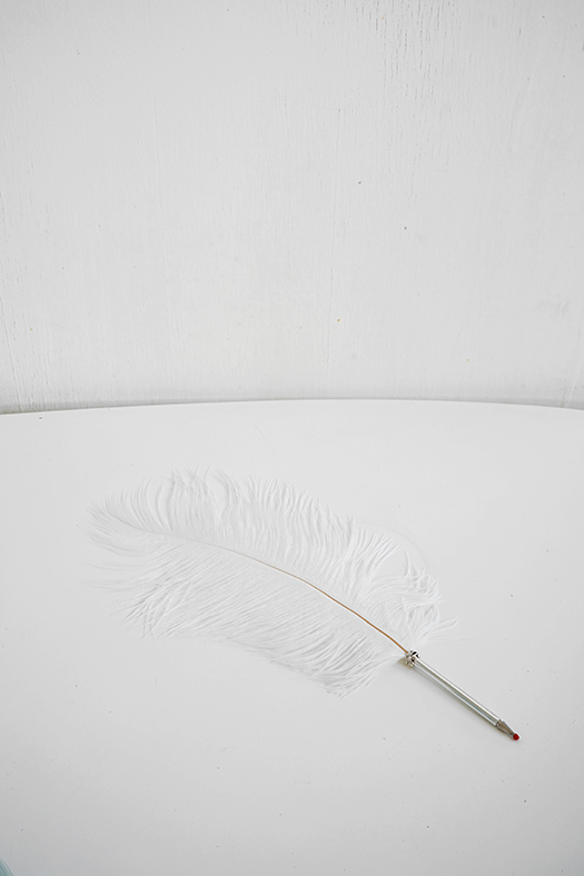 ostrich feather pen 