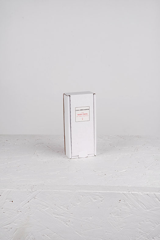 LJH -  Rainy days.7
