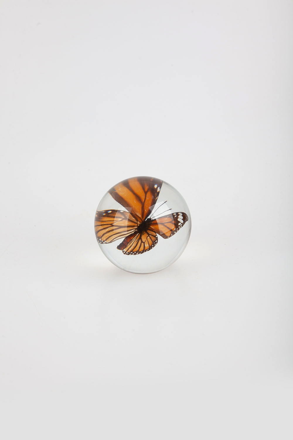 paperweight - butterfly