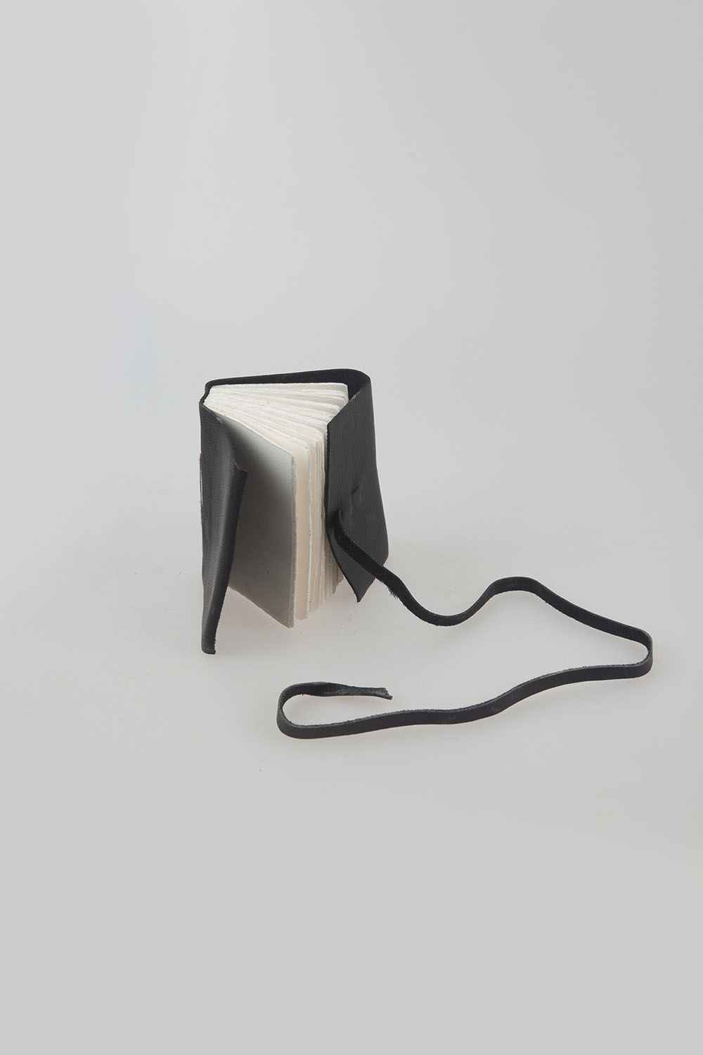 leather scroll book